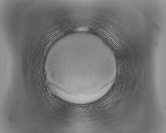 X0000115331441200912141209