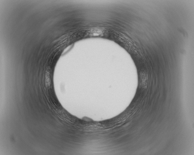 X0000115331442200912141209