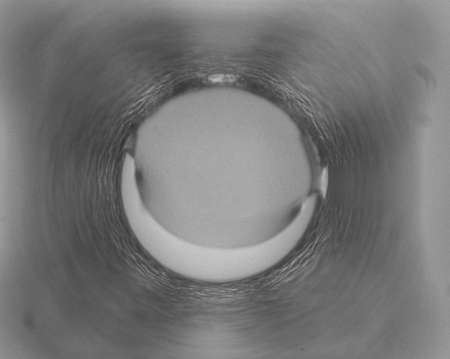 X0000115331443200912141209