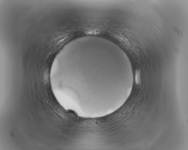 X0000115331444200912141209