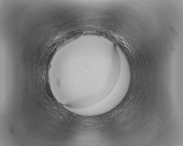 X0000115331445200912141209