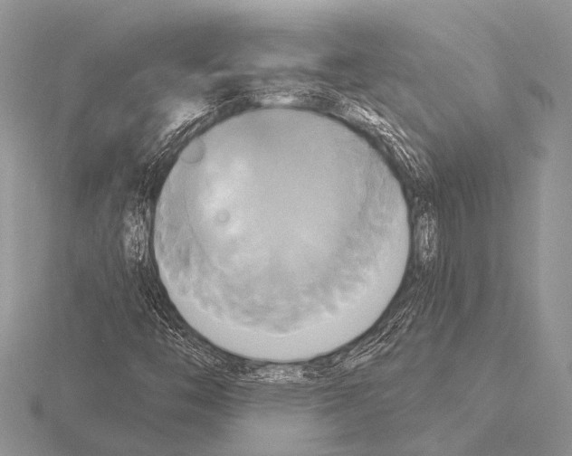 X0000115331446200912141209