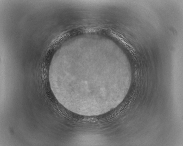 X0000115331447200912141209