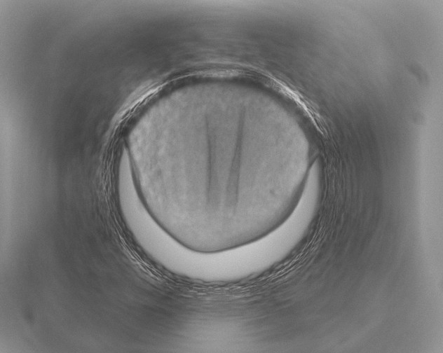 X0000115331448200912141209