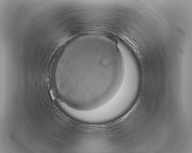 X0000115331449200912141209