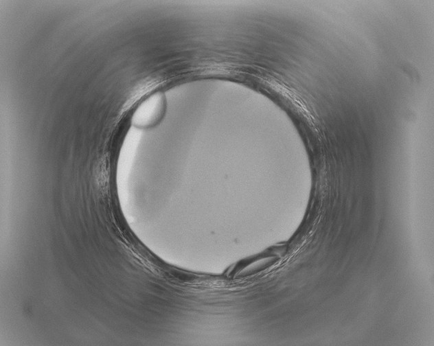 X0000115331450200912141209