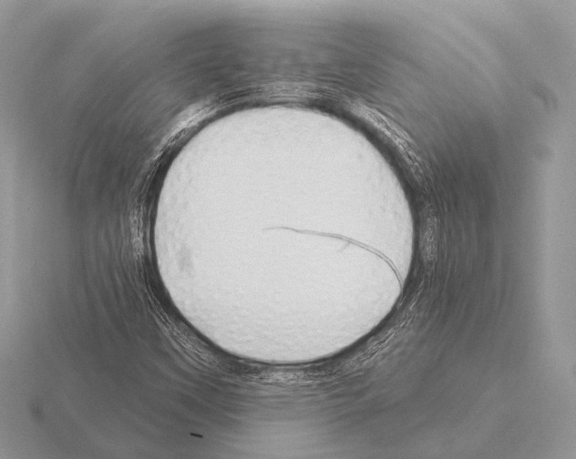 X0000115331451200912141209