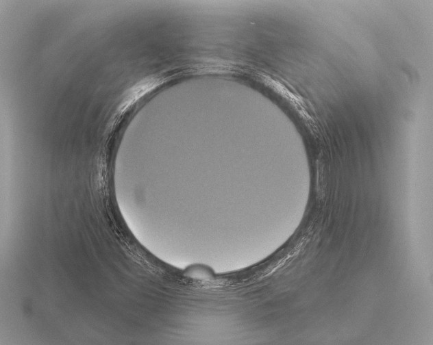 X0000115331453200912141209