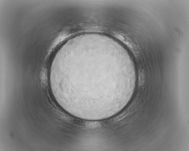 X0000115331454200912141209