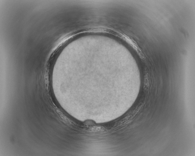 X0000115331456200912141209