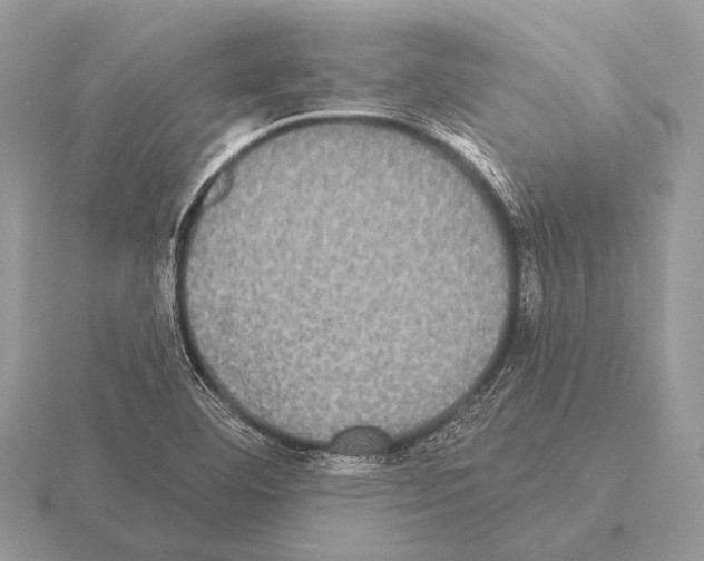 X0000115331460200912141209