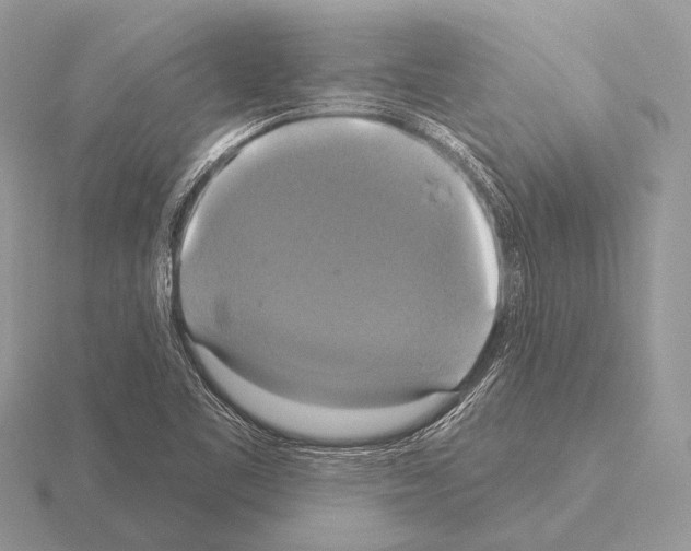 X0000115331461200912141209