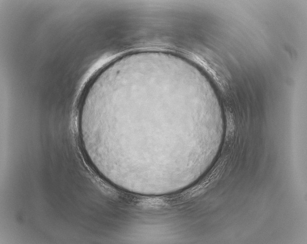 X0000115331462200912141209