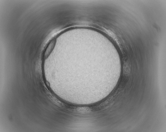 X0000115331464200912141209