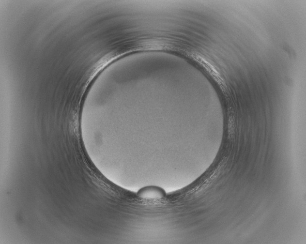 X0000115331465200912141209