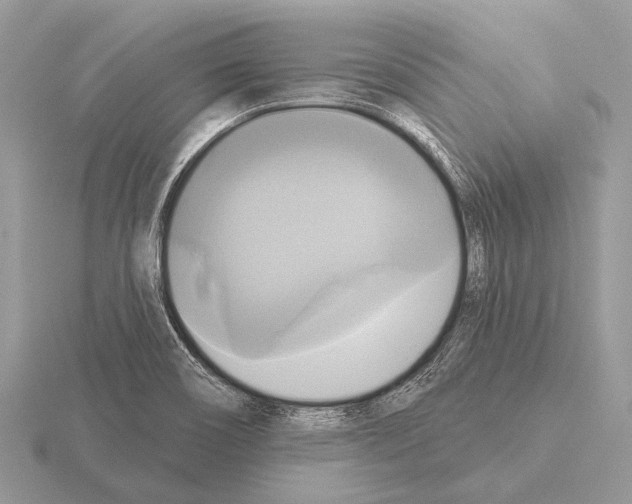 X0000115331466200912141209