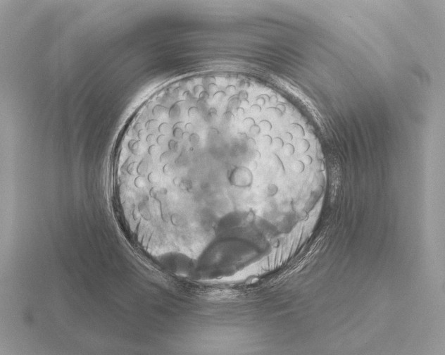 X0000115331467200912141209