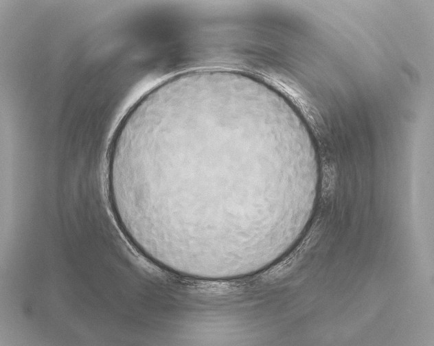 X0000115331470200912141209