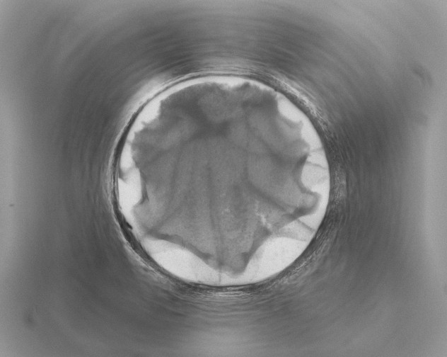 X0000115331471200912141209