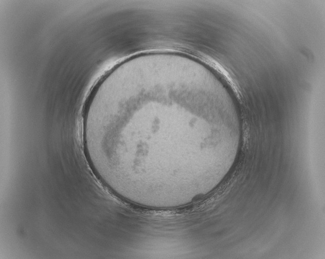 X0000115331472200912141209