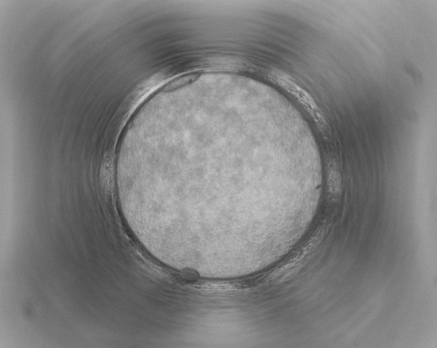 X0000115331473200912141209