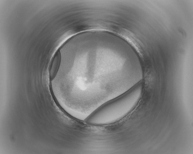 X0000115331476200912141209