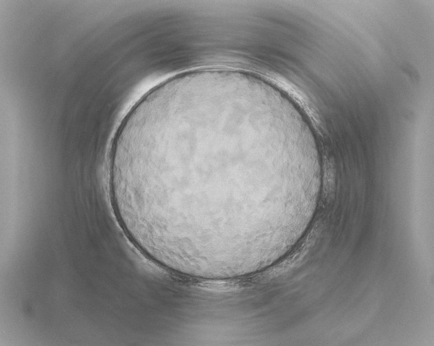 X0000115331478200912141209