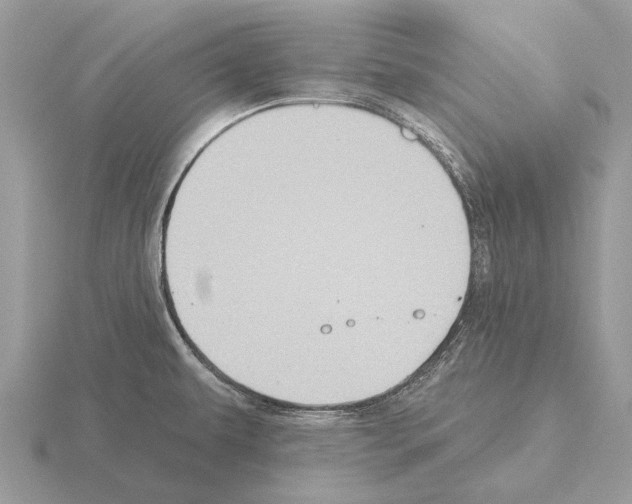 X0000115331479200912141209