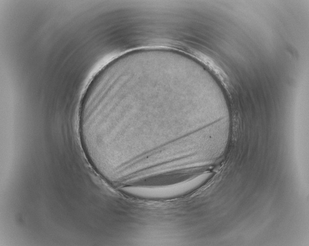 X0000115331480200912141209