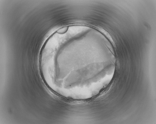 X0000115331482200912141209