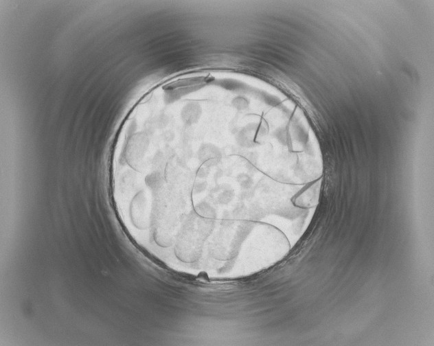 X0000115331483200912141209