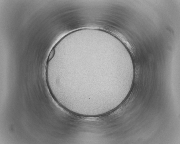 X0000115331484200912141209