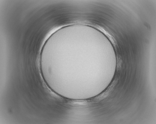 X0000115331486200912141209