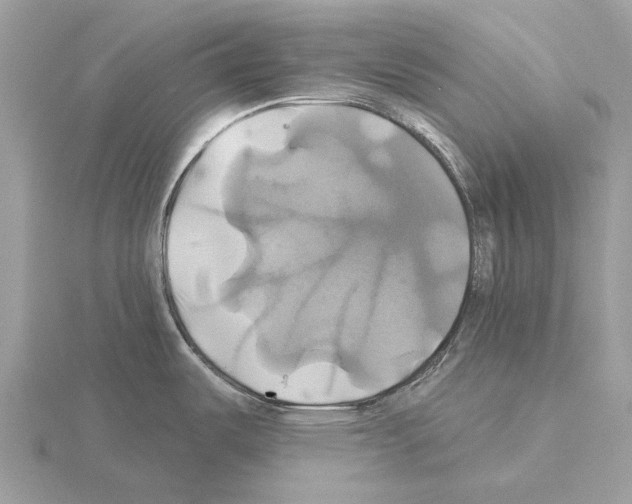 X0000115331487200912141209