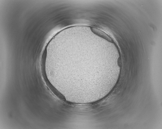 X0000115331488200912141209