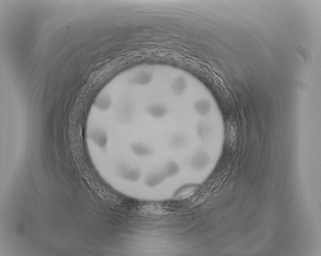 X0000115331489200912141208