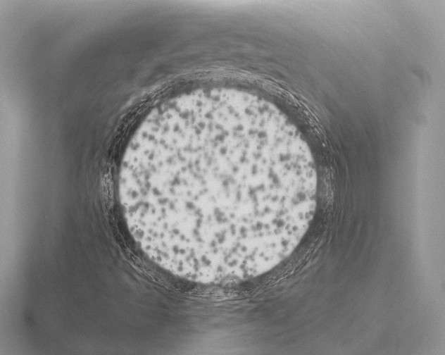 X0000115331493200912141208