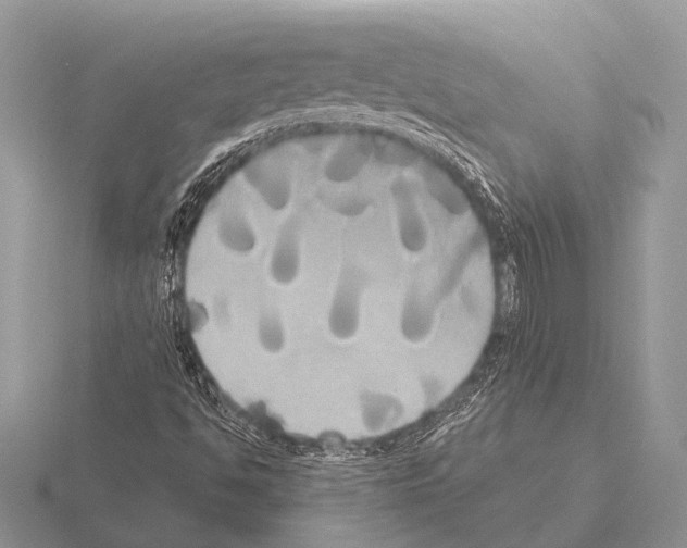 X0000115331494200912141208