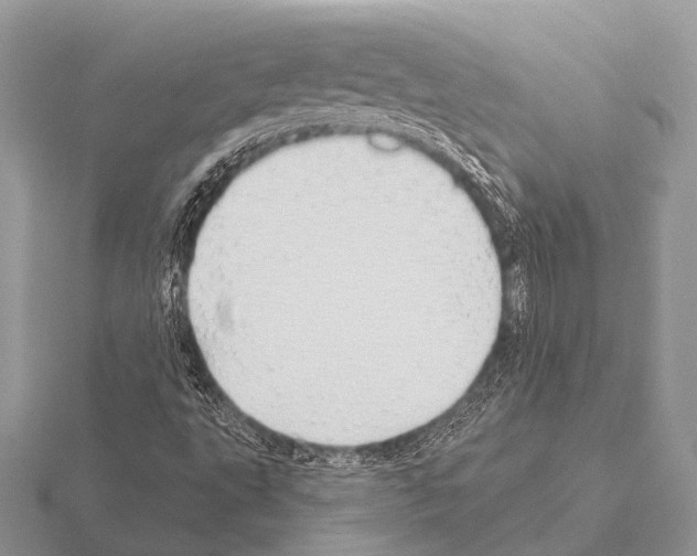 X0000115331495200912141208