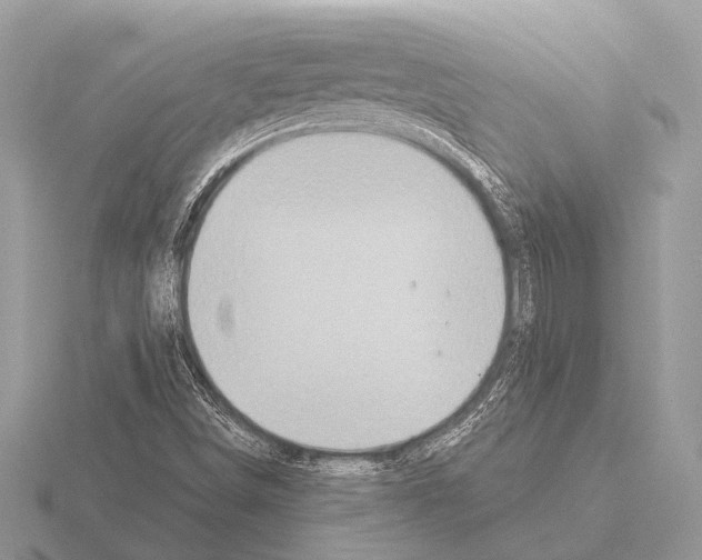 X0000115331498200912141208