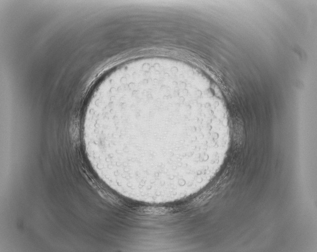 X0000115331499200912141208