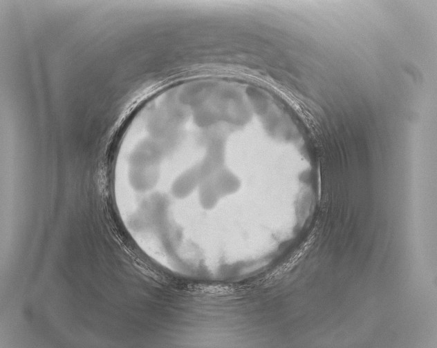 X0000115331501200912141208