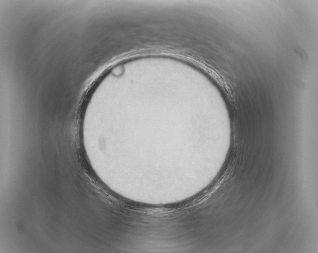 X0000115331502200912141208