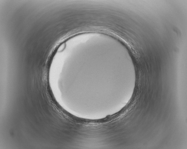 X0000115331506200912141208