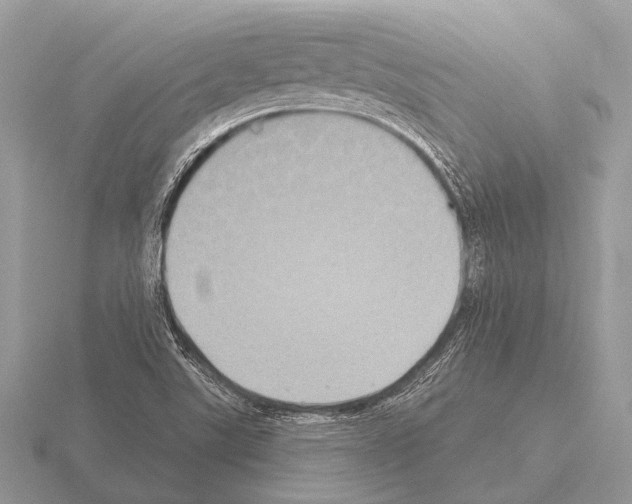 X0000115331507200912141208