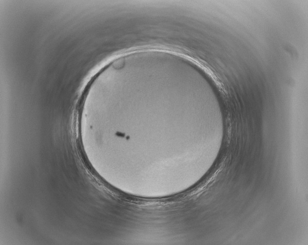 X0000115331510200912141208