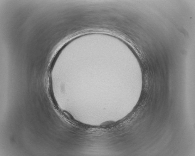 X0000115331511200912141208