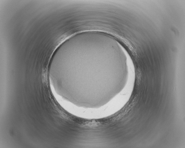 X0000115331513200912141208