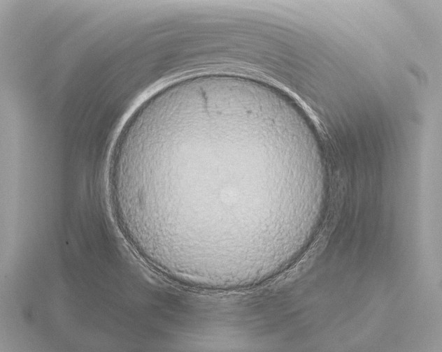 X0000115331514200912141208