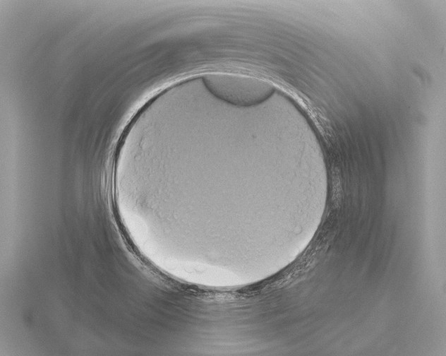 X0000115331515200912141208